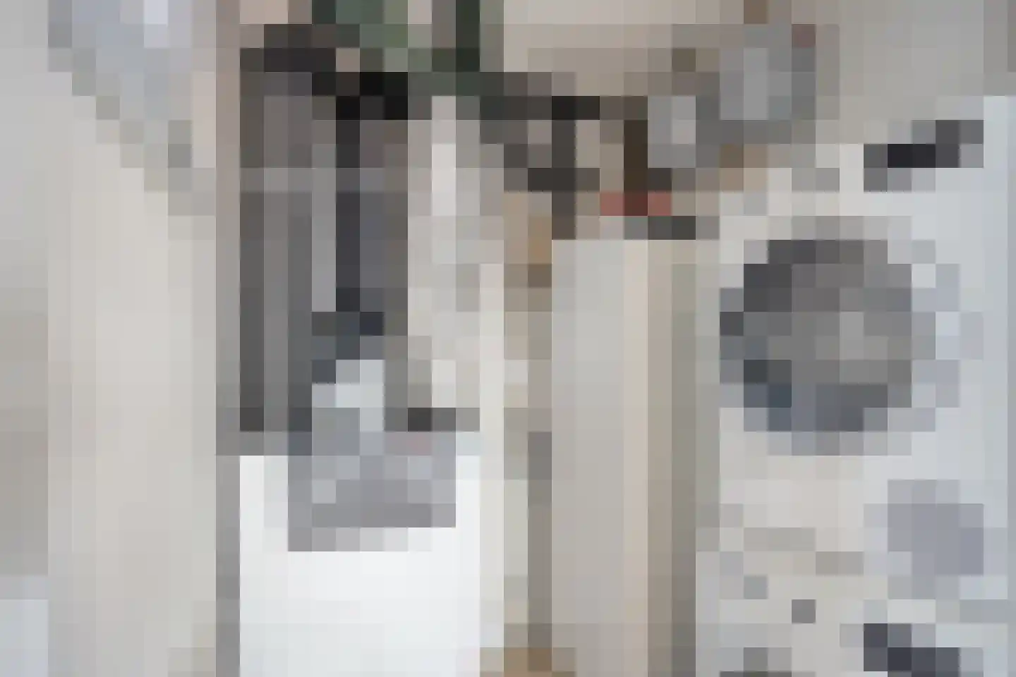 Fort Ronduitstraat 19 Weesp thumbnail 20