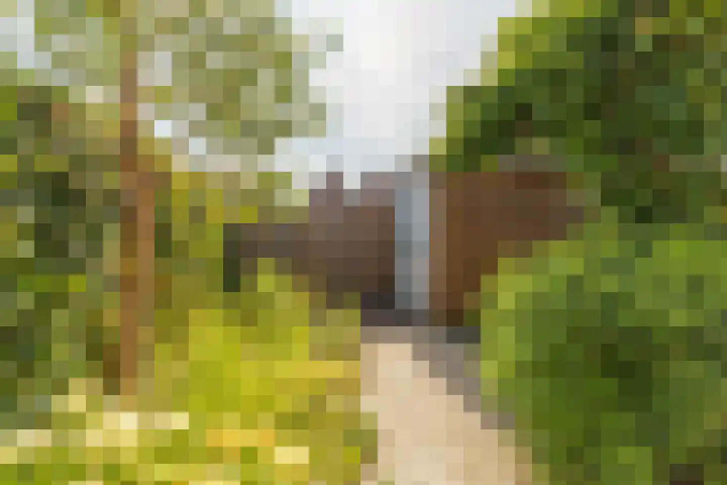 Fort Voordorphof 16 Weesp thumbnail 17
