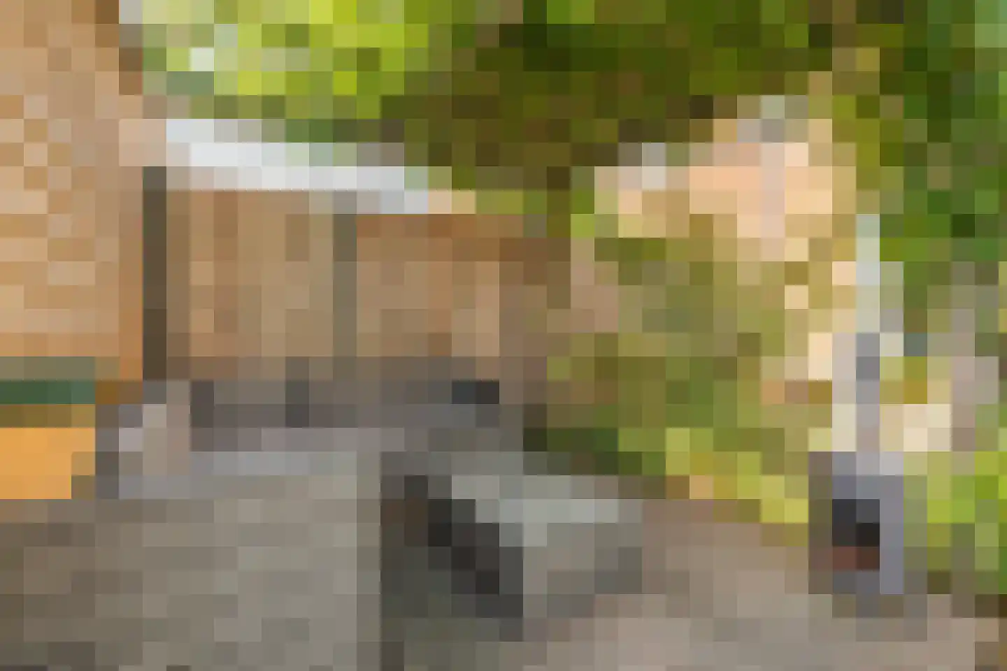 Fort Voordorphof 16 Weesp thumbnail 19