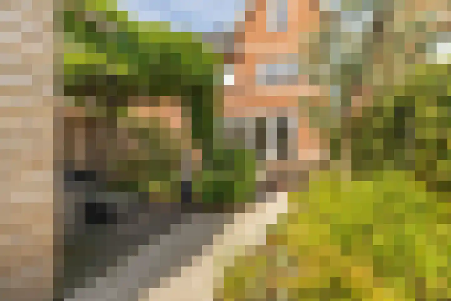 Fort Voordorphof 16 Weesp thumbnail 20