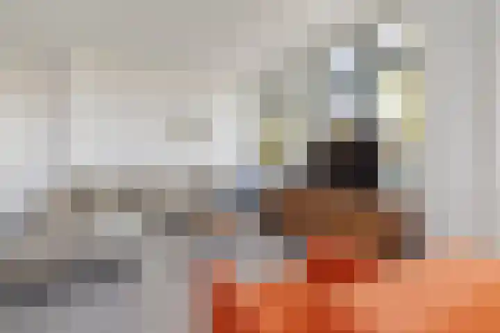 Fort Vreeswijkhof 25 Weesp thumbnail 10