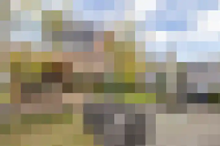 Fort Vreeswijkhof 25 Weesp thumbnail 4