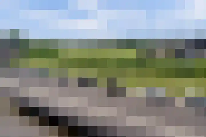 Fortgracht 17 Sleeuwijk thumbnail 29