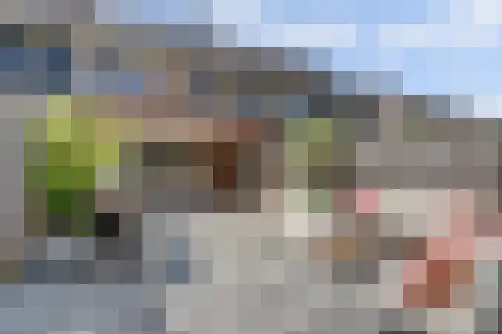 Fortgracht 17 Sleeuwijk thumbnail 41