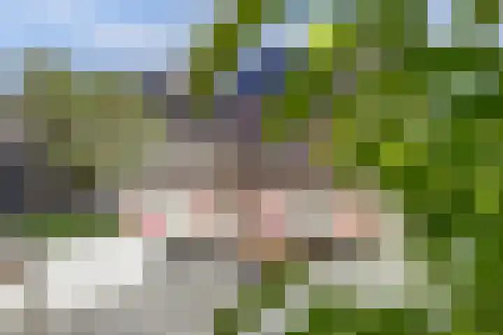 Fortgracht 17 Sleeuwijk thumbnail 42