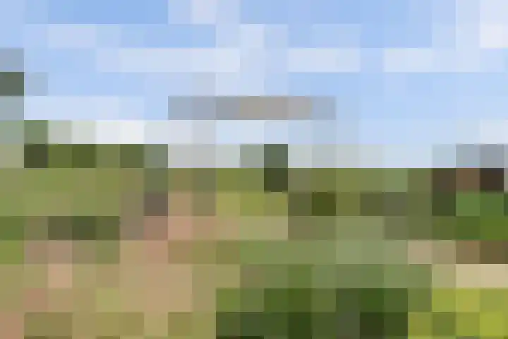 Fortgracht 17 Sleeuwijk thumbnail 44