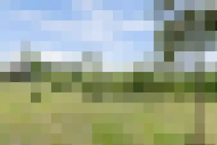Fortgracht 17 Sleeuwijk thumbnail 45