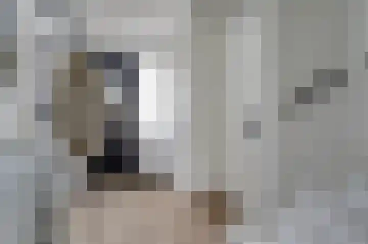 Fortgracht 17 Sleeuwijk thumbnail 7