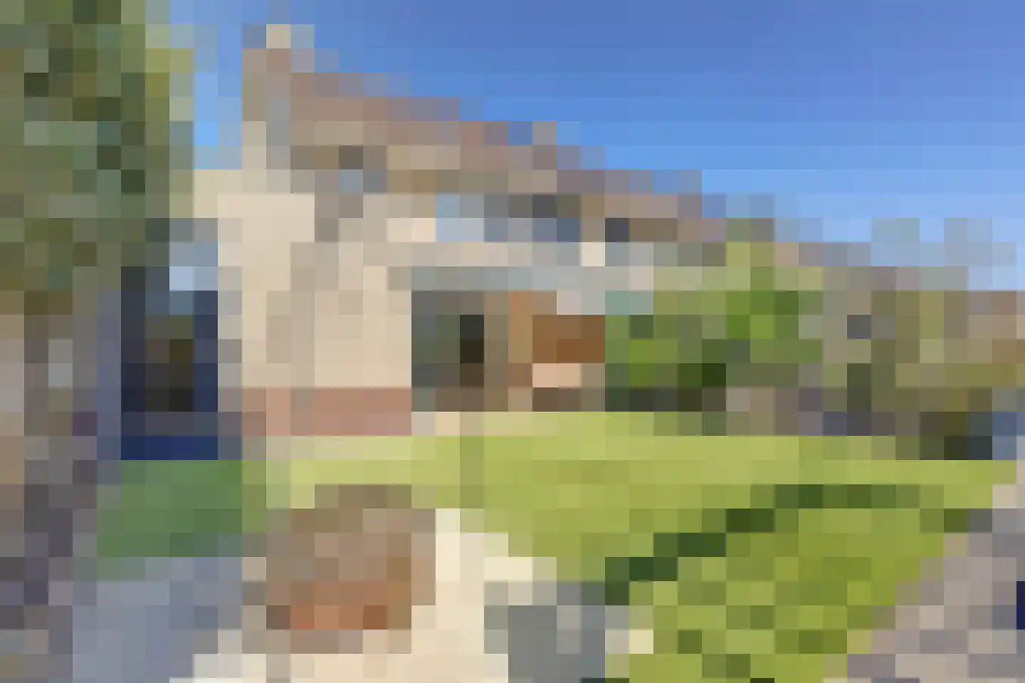Fortgracht 23 Sleeuwijk thumbnail 48