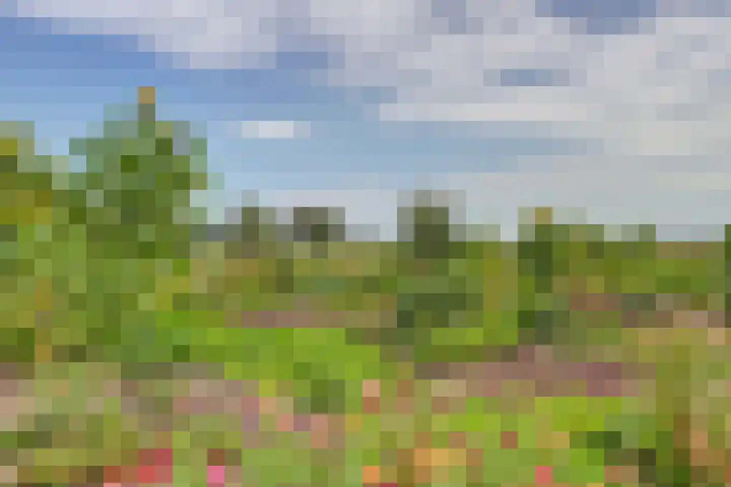 Fortgracht 23 Sleeuwijk thumbnail 58