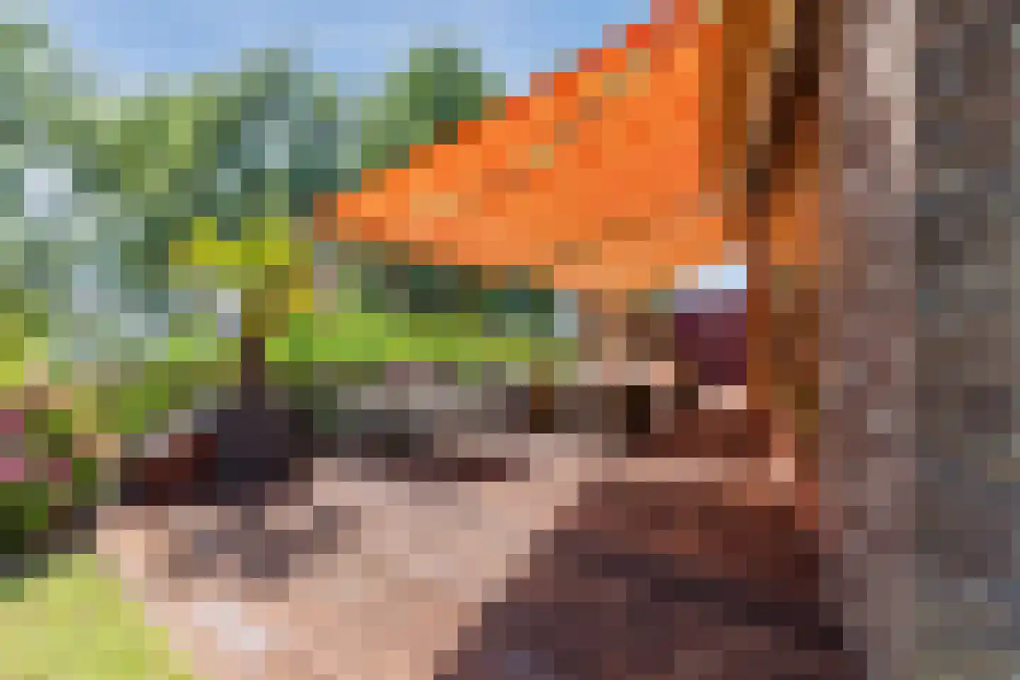 Fortius 4 Hoofddorp thumbnail 42