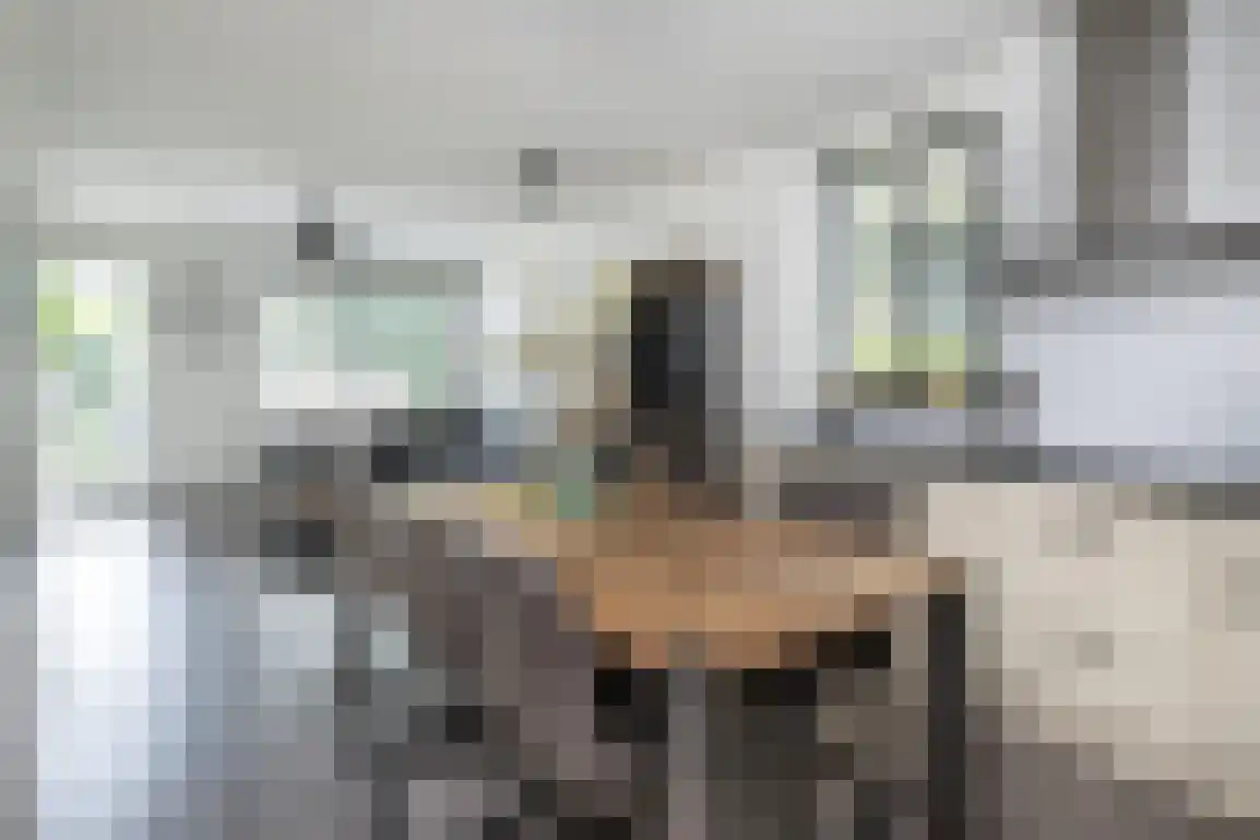 Fortjesweg 16 Stellendam thumbnail 7