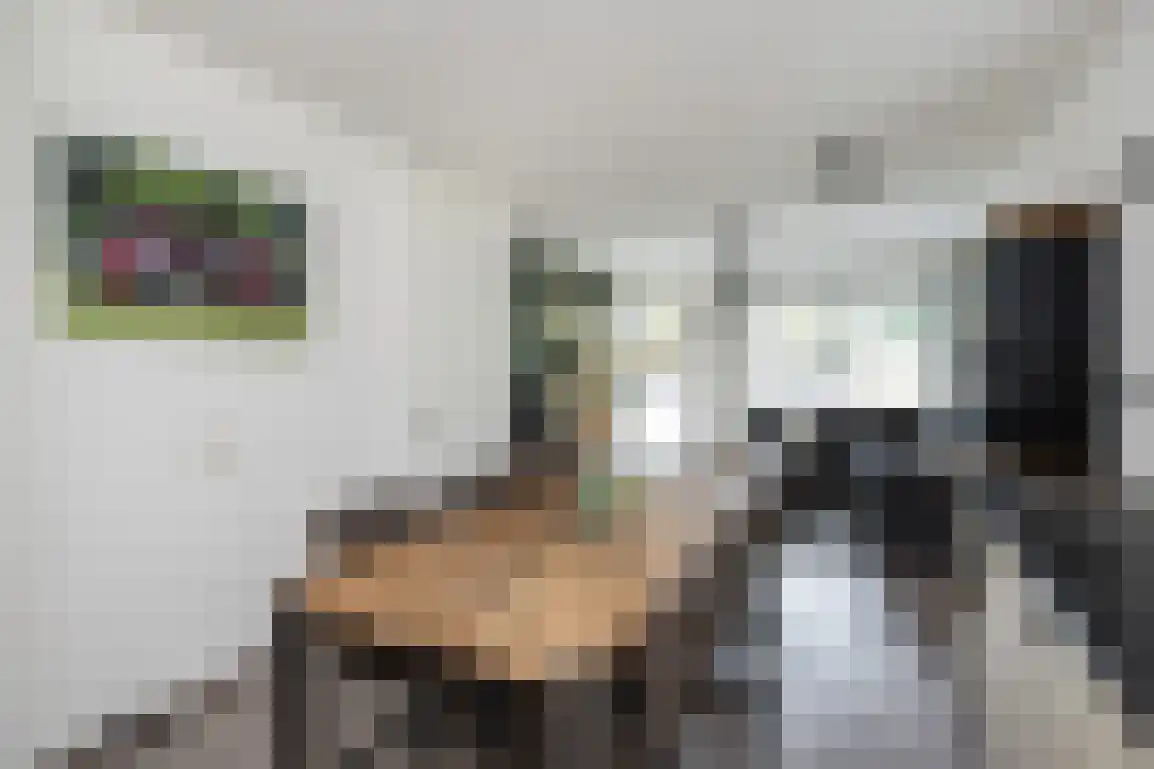 Fortjesweg 16 Stellendam thumbnail 8