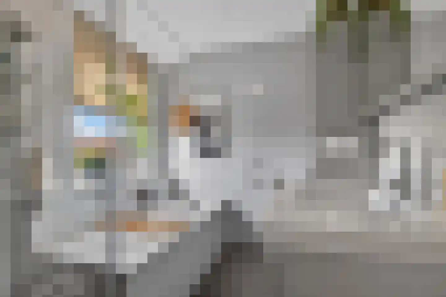 Fortlaan 1 Apeldoorn thumbnail 21