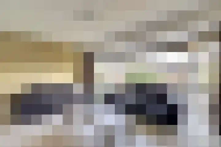 Fortlaan 11 Apeldoorn thumbnail 12