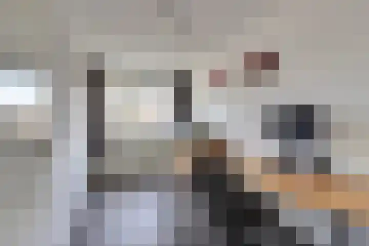 Fortlaan 11 Apeldoorn thumbnail 25