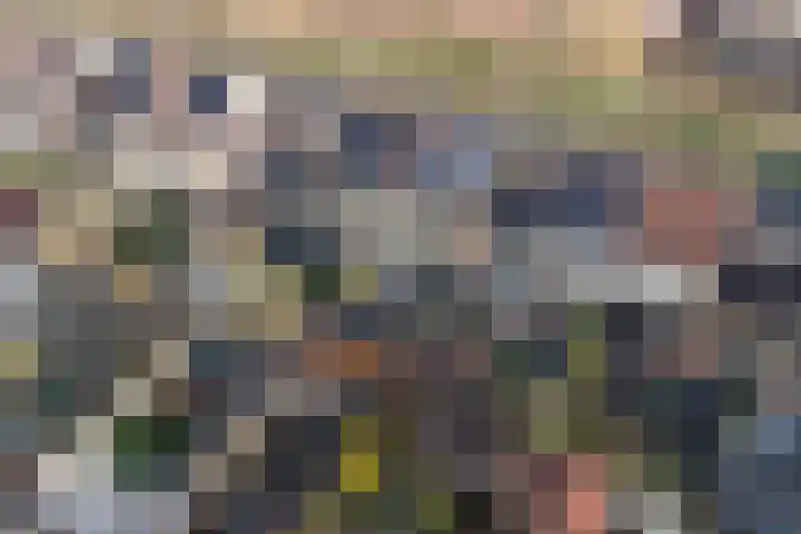 Fortlaan 11 Apeldoorn thumbnail 31