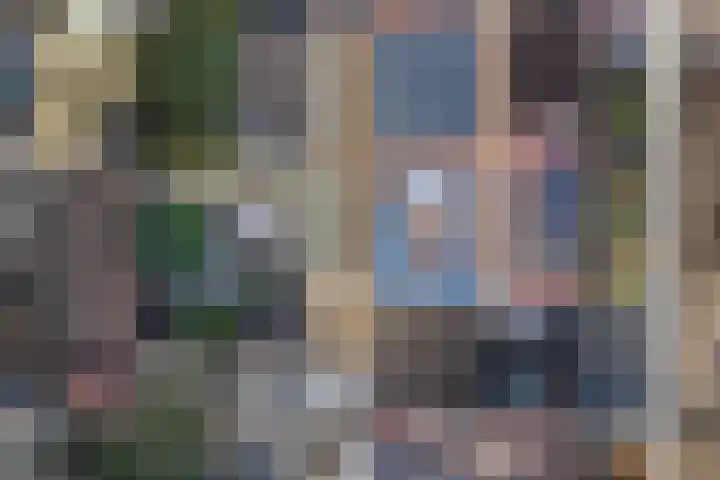 Fortlaan 11 Apeldoorn thumbnail 32