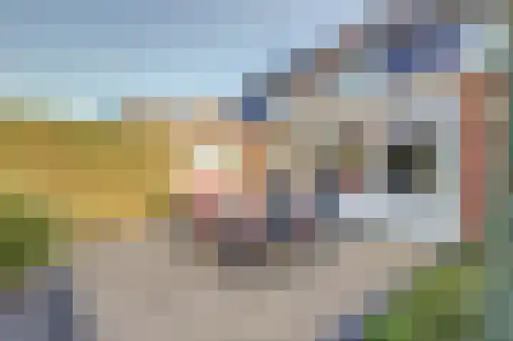 Fortlaan 11 Apeldoorn thumbnail 34