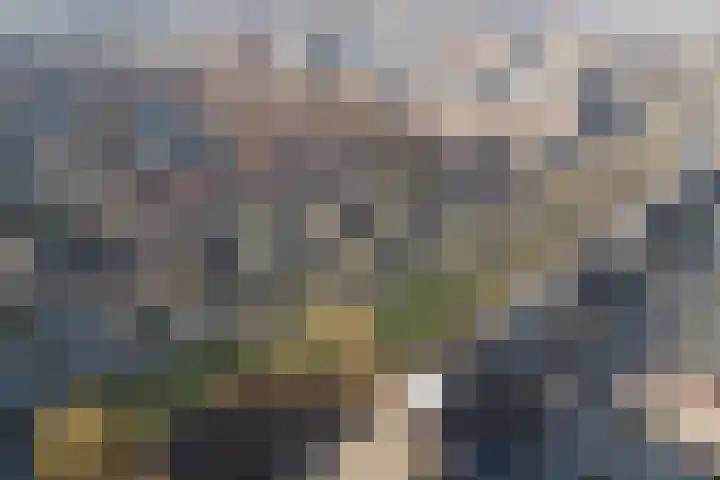 Fortlaan 11 Apeldoorn thumbnail 40