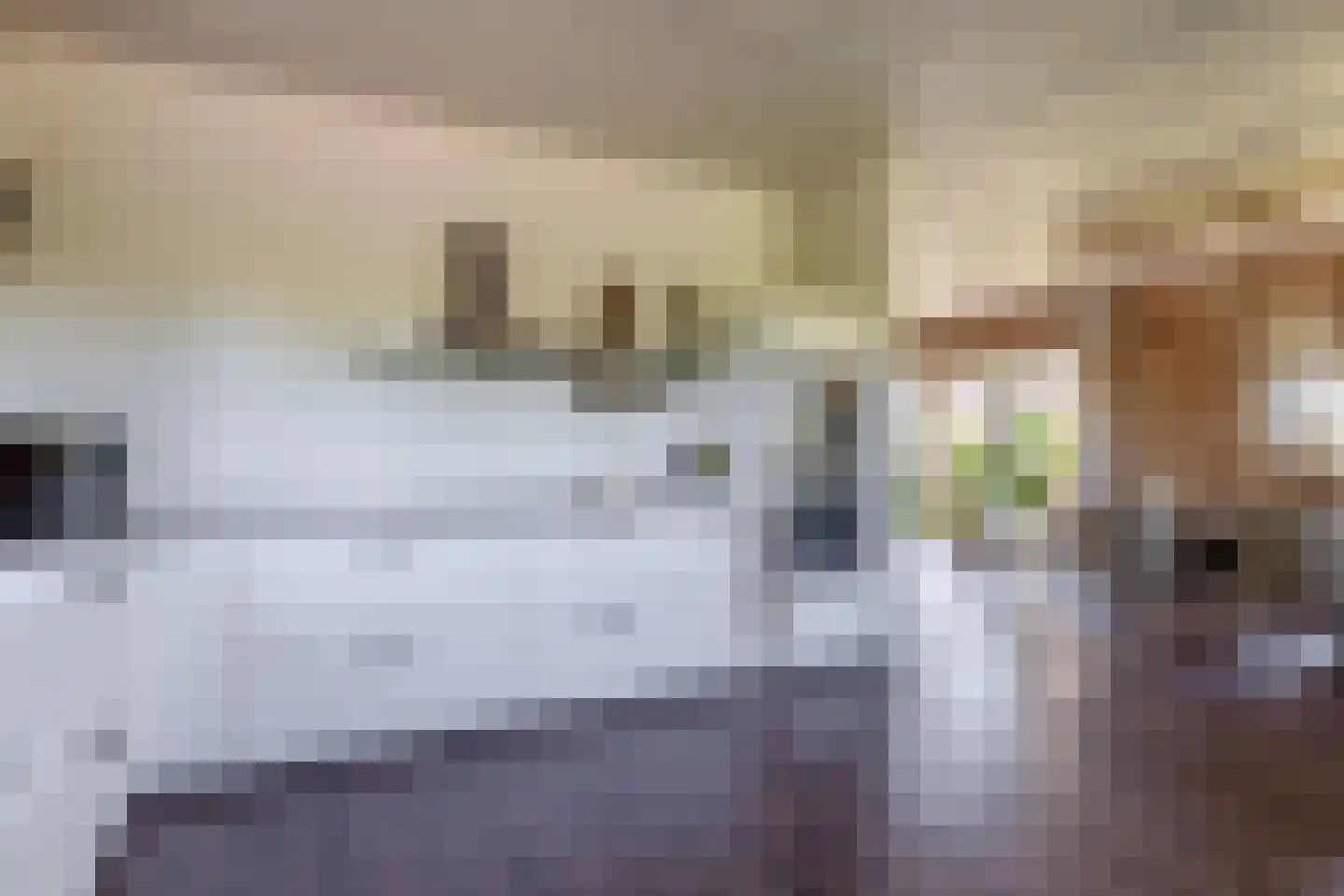 Fortlaan 23 Numansdorp thumbnail 18