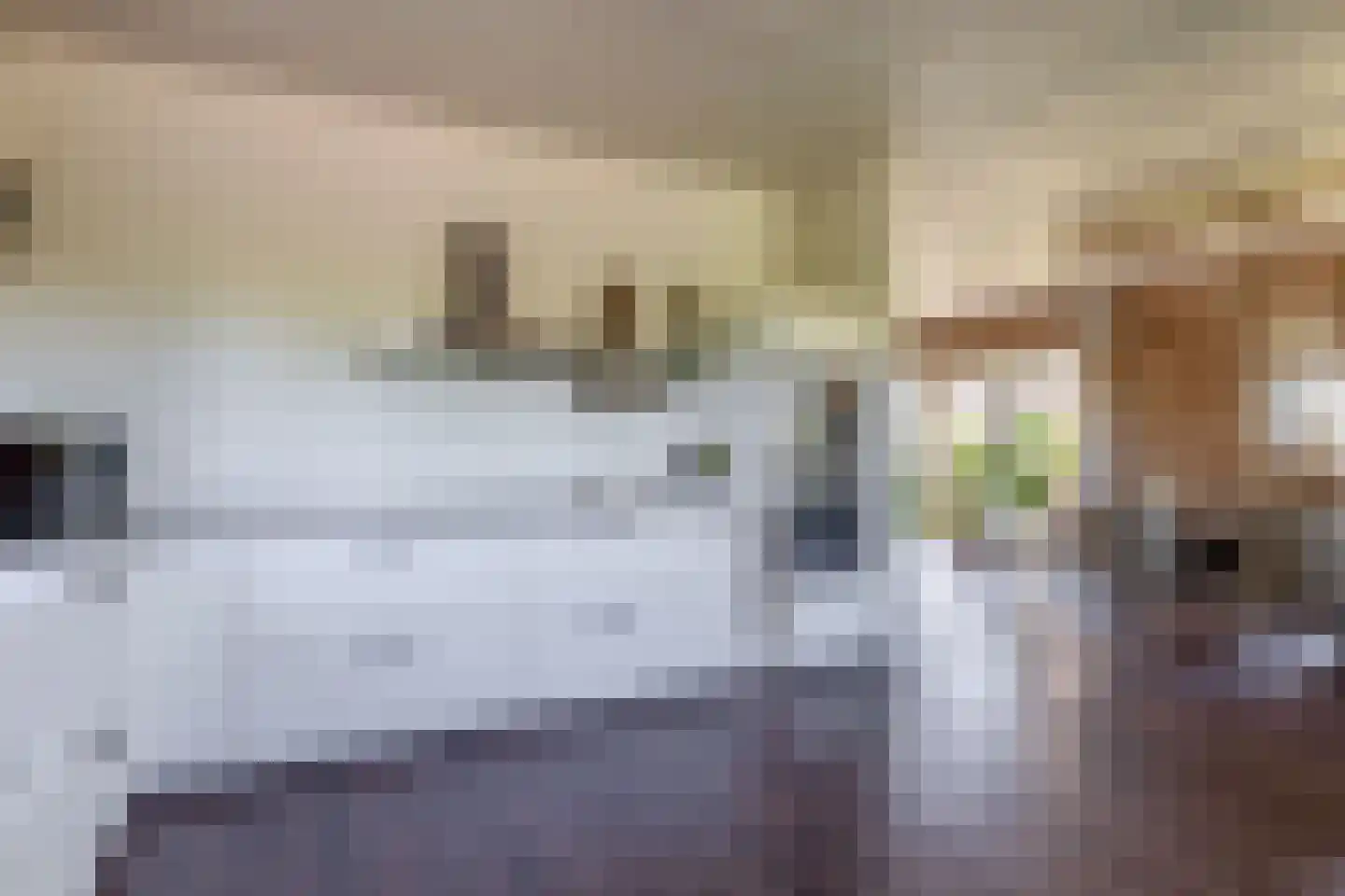 Fortlaan 23 Numansdorp thumbnail 19