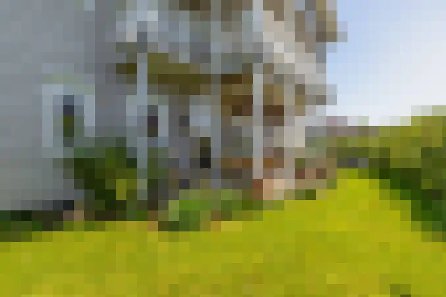 Fortlaan 23 Numansdorp thumbnail 22