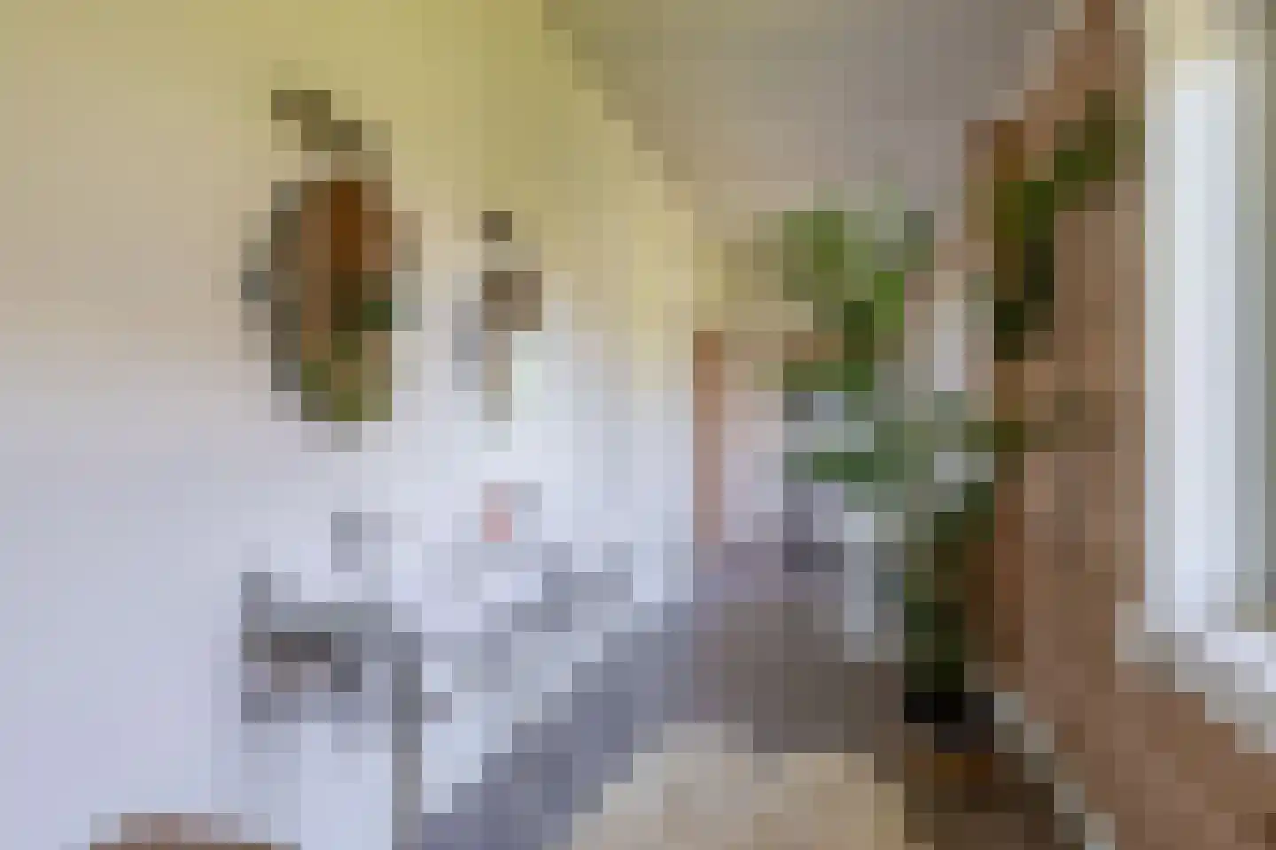 Fortlaan 23 Numansdorp thumbnail 34