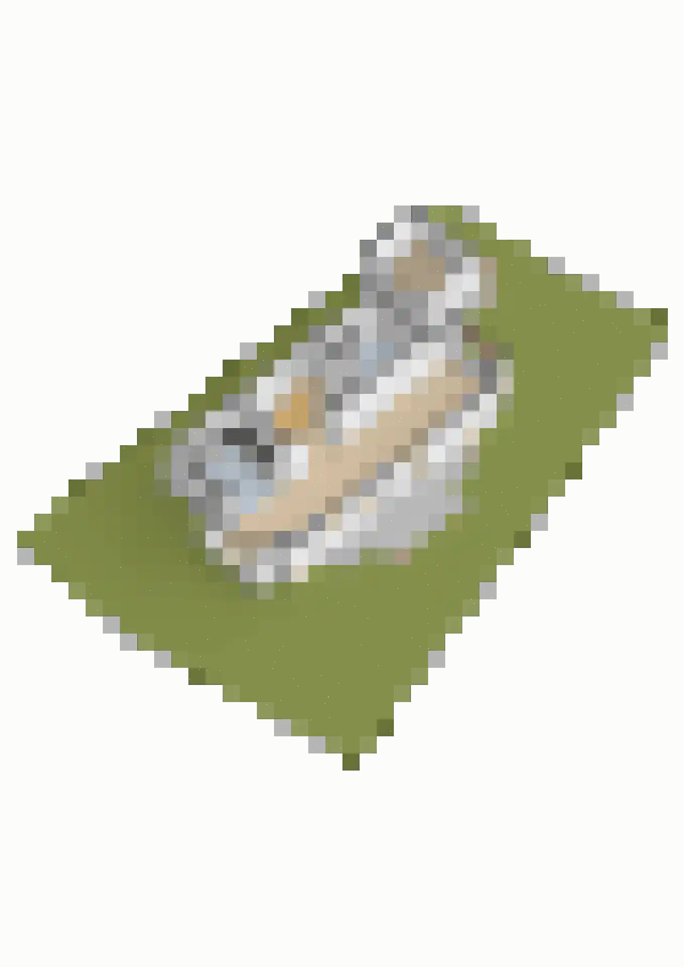 Fortlaan 23 Numansdorp thumbnail 55