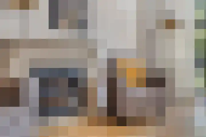 Fortlaan 39 Apeldoorn thumbnail 11