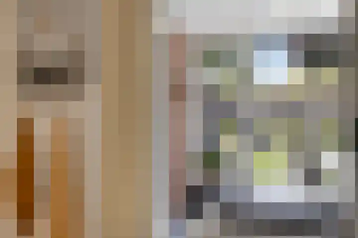 Fortlaan 39 Apeldoorn thumbnail 16