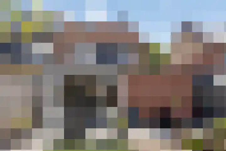 Fortlaan 39 Apeldoorn thumbnail 41