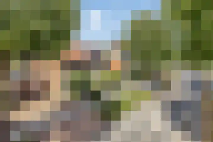 Fortlaan 39 Apeldoorn thumbnail 45