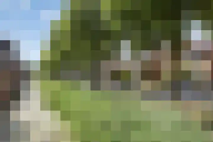 Fortlaan 39 Apeldoorn thumbnail 47