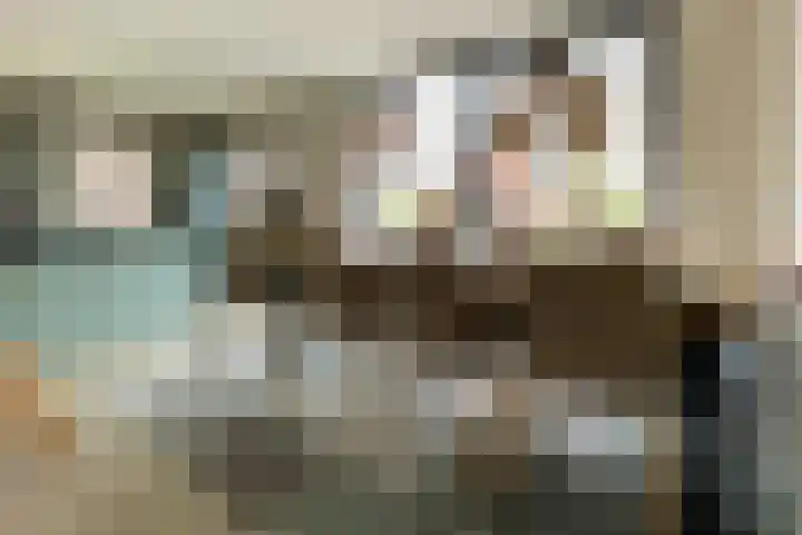 Fortmonderweg 10 Olst thumbnail 11