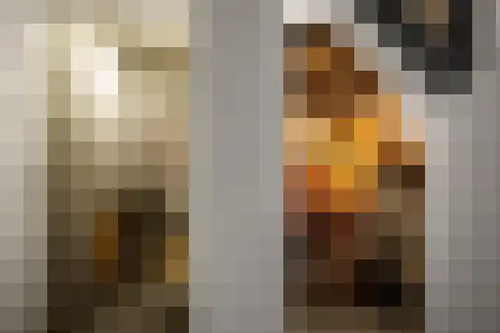 Fortmonderweg 10 Olst thumbnail 14