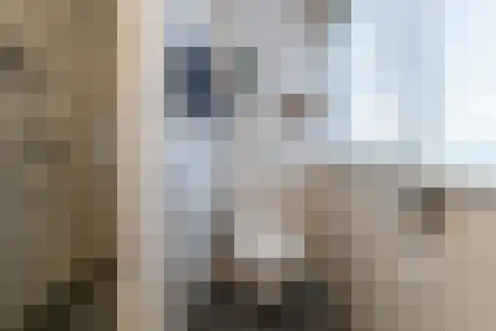 Fortmonderweg 10 Olst thumbnail 24