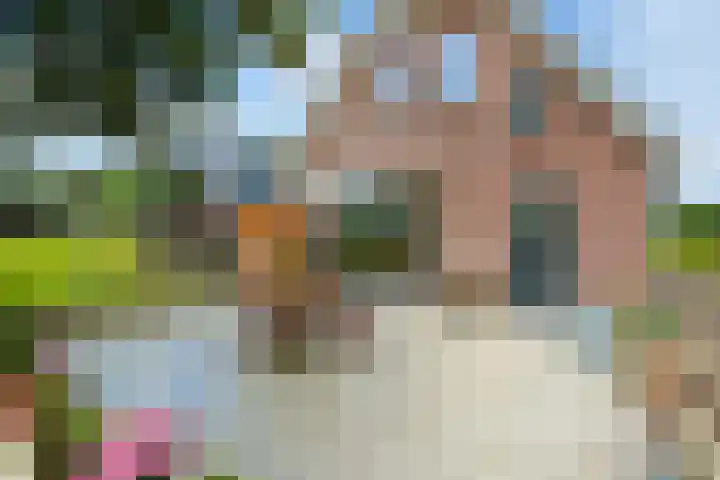 Fortmonderweg 10 Olst thumbnail 25