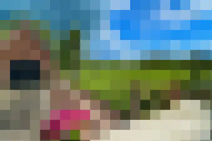 Fortmonderweg 10 Olst thumbnail 26