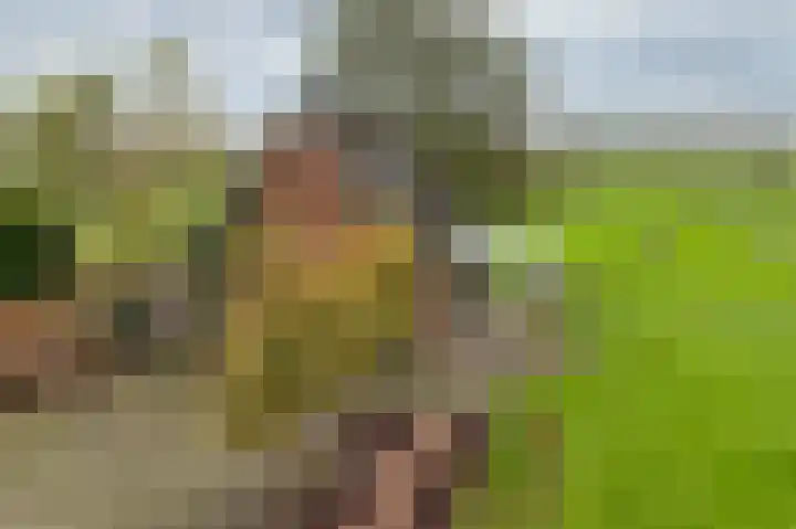 Fortmonderweg 10 Olst thumbnail 28