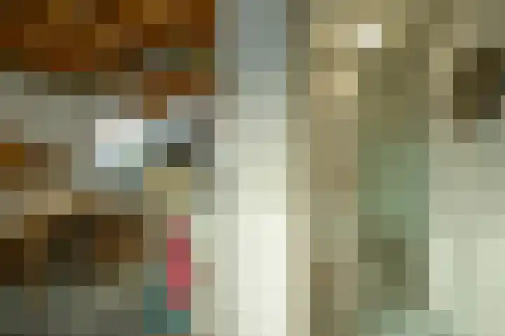 Fortmonderweg 10 Olst thumbnail 31