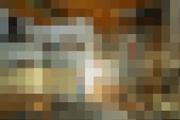 Fortmonderweg 10 Olst thumbnail 32