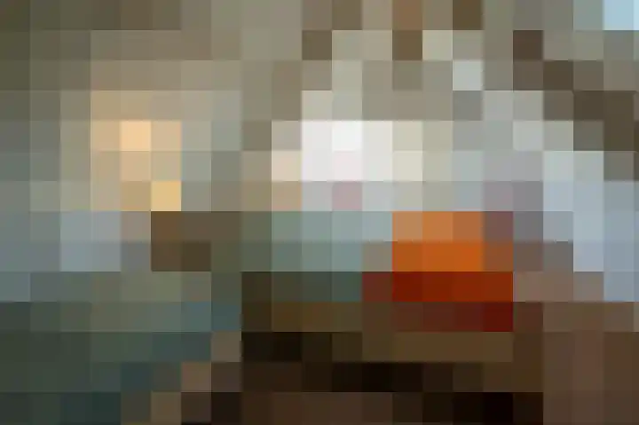 Fortmonderweg 10 Olst thumbnail 34