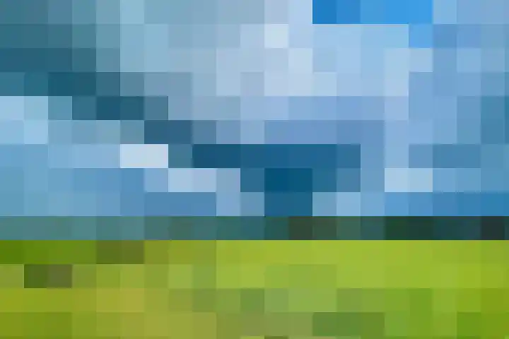 Fortmonderweg 10 Olst thumbnail 38
