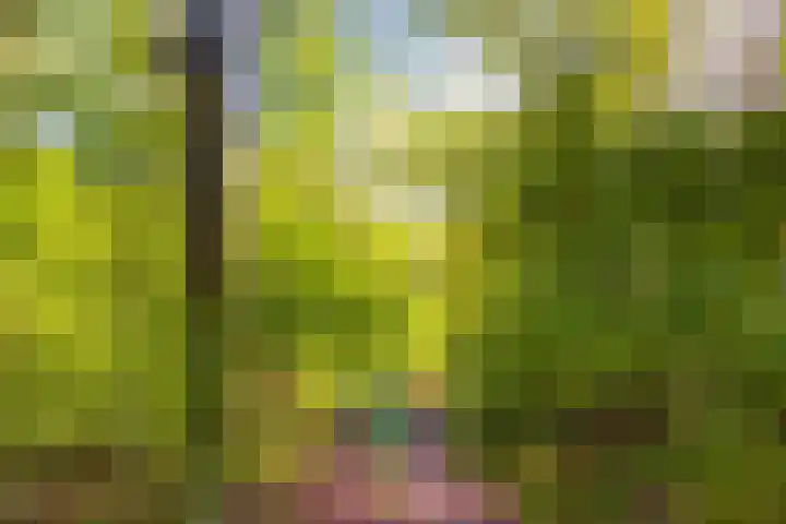Fortmonderweg 10 Olst thumbnail 45