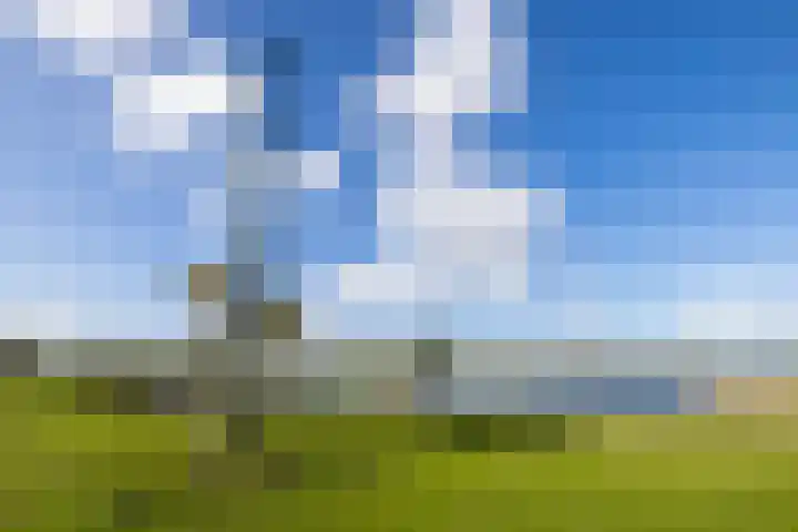 Fortmonderweg 10 Olst thumbnail 47