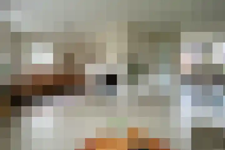 Fortmonderweg 10 Olst thumbnail 8