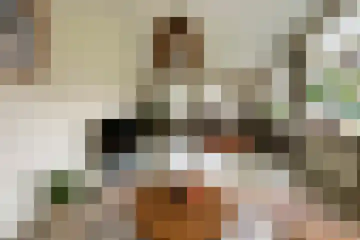 Fortmonderweg 10 Olst thumbnail 9