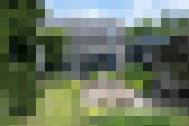 Fortmonderweg 29 Olst thumbnail 10
