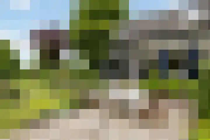 Fortmonderweg 29 Olst thumbnail 11